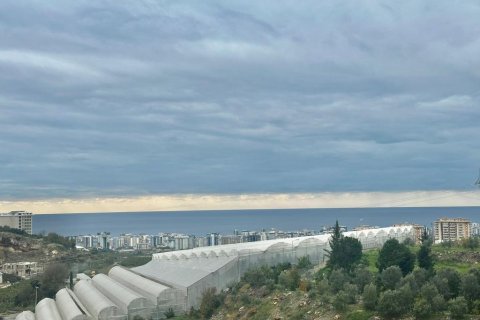 Wohnung  in Mahmutlar, Antalya, Türkei Nr. 219770 - 12