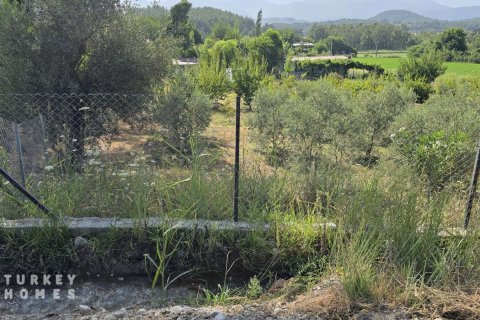 Land  in Fethiye, Mugla, Türkei Nr. 233013 - 12