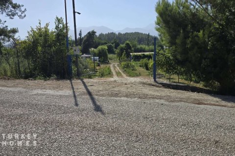 Land  in Fethiye, Mugla, Türkei Nr. 233013 - 15