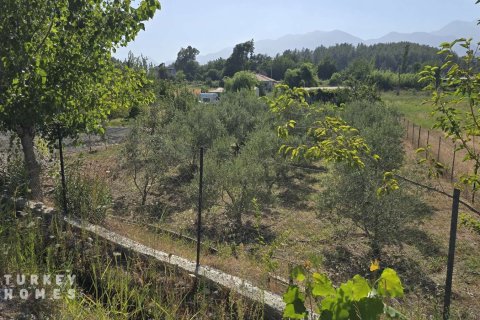 Land  in Fethiye, Mugla, Türkei Nr. 233013 - 13