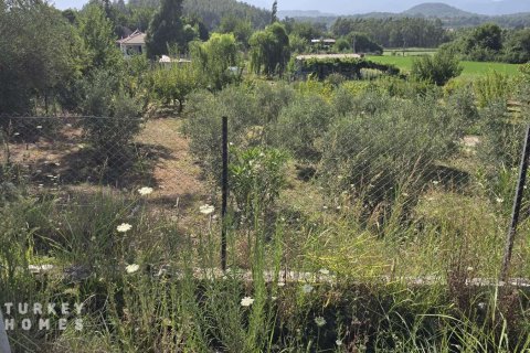 Land  in Fethiye, Mugla, Türkei Nr. 233013 - 14