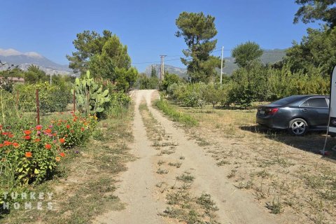 Land  in Fethiye, Mugla, Türkei Nr. 233013 - 8