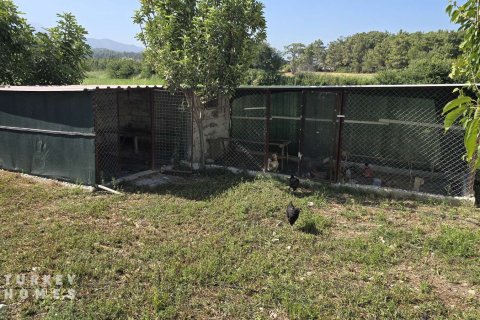 Land  in Fethiye, Mugla, Türkei Nr. 233013 - 6