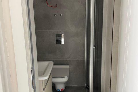 1+1 Wohnung  in Alanya, Antalya, Türkei Nr. 228964 - 12