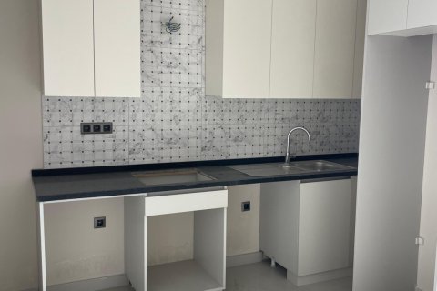 1+1 Wohnung  in Alanya, Antalya, Türkei Nr. 228964 - 4