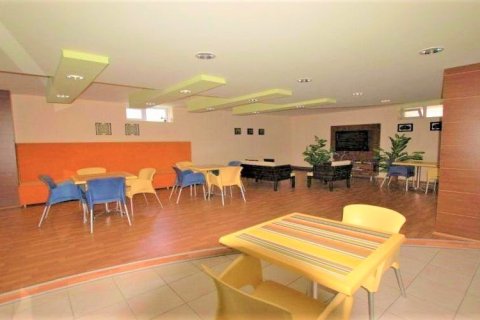 2+1 Lejlighed i Oba, Antalya, Tyrkiet Nr. 237925 - 21