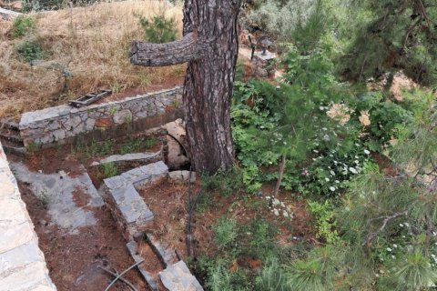 3+1 Villa i Oba, Antalya, Turkiet Nr. 227511 - 10