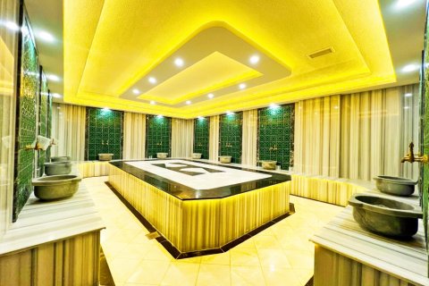 2+1 Lejlighed  i Alanya, Antalya, Tyrkiet Nr. 216480 - 17