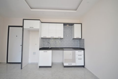 1+1 Wohnung  in Alanya, Antalya, Türkei Nr. 216476 - 5