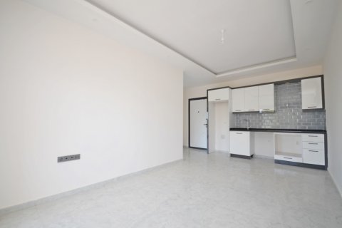 1+1 Wohnung  in Alanya, Antalya, Türkei Nr. 216476 - 4