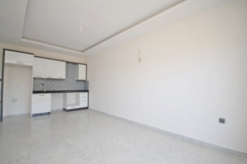 1+1 Wohnung  in Alanya, Antalya, Türkei Nr. 216476 - 3