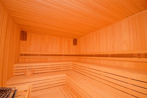 1+1 Wohnung  in Alanya, Antalya, Türkei Nr. 216476 - 17