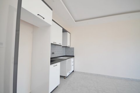 1+1 Wohnung  in Alanya, Antalya, Türkei Nr. 216476 - 6