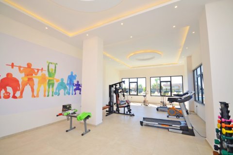 1+1 Wohnung  in Alanya, Antalya, Türkei Nr. 216476 - 26