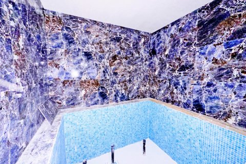 2+1 Wohnung  in Alanya, Antalya, Türkei Nr. 216479 - 20