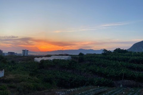 Продажа квартиры  в Махмутларе, Анталье, Турция 2 комн., 55м2, №212517 – фото 15