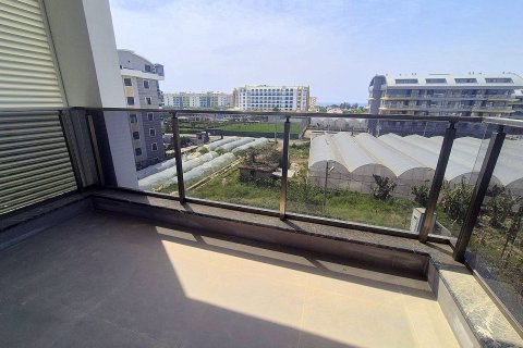 1+0 Wohnung in Kargicak, Alanya, Antalya, Türkei Nr. 224999 - 12