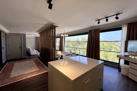 ویلا در  Alanya ، ترکیه 4 خوابه ، 280 متر مربع.  شماره 221324 - 8