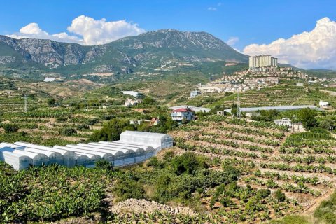 Продажа квартиры  в Аланье, Анталье, Турция 1+1, 50м2, №221327 – фото 25