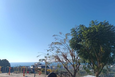 Продажа виллы  в Каргыджаке, Аланье, Анталье, Турция 3+1, 150.0м2, №213746 – фото 17