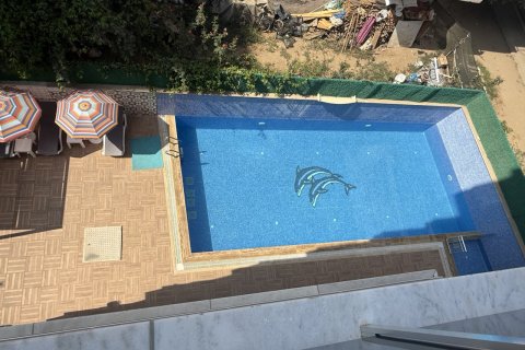 1+1 Wohnung in Mahmutlar, Antalya, Türkei Nr. 237908 - 23