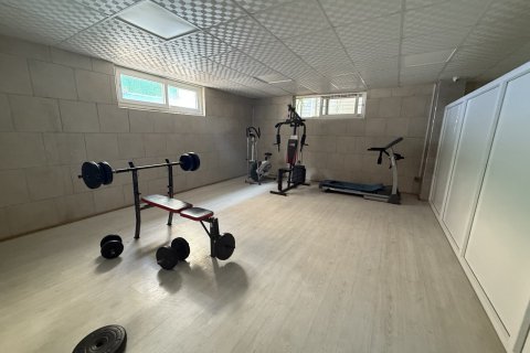 1+1 Wohnung in Mahmutlar, Antalya, Türkei Nr. 237908 - 16