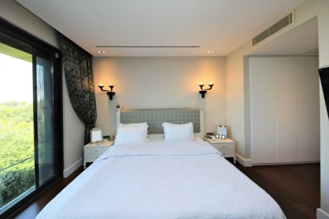 4+1 Lägenhet i Istanbul, istanbul, Turkiet Nr. 233849 - 12