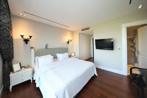 4+1 Lägenhet i Istanbul, istanbul, Turkiet Nr. 233849 - 11
