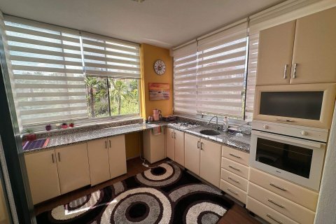 3+2 Villa  in Kestel, Antalya, Türkei Nr. 229077 - 23