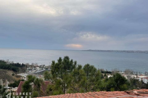 ویلا در Istanbul ، ترکیه 5 خوابه ، 305 متر مربع. شماره 233429 - 2