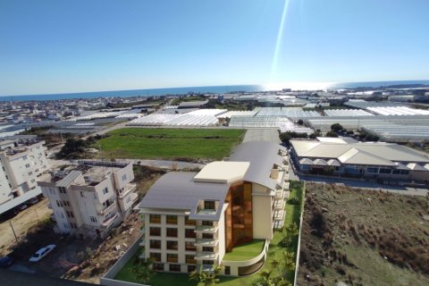 1+1 Wohnung  in Payallar, Alanya, Antalya, Türkei Nr. 231797