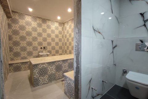 ویلا در  Girne ، ترکیه 440 متر مربع.  شماره 139409 - 30