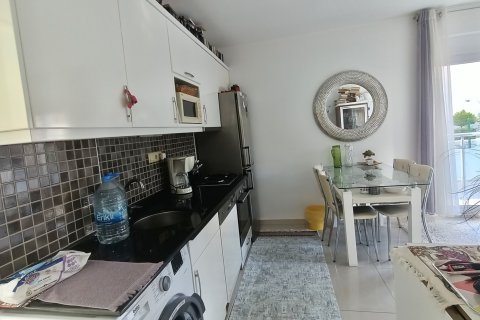 Apartment for sale  in Alanya, Antalya, Turkey, 55m2, No. 215079 – photo 12