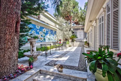 5+1 Villa i Istanbul, Tyrkiet Nr. 222068 - 9