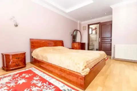 7+1 Villa  i Istanbul, Tyrkiet Nr. 222066 - 5