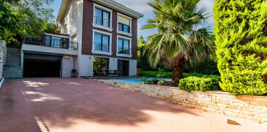 7+1 Villa  i Istanbul, Tyrkiet Nr. 222066