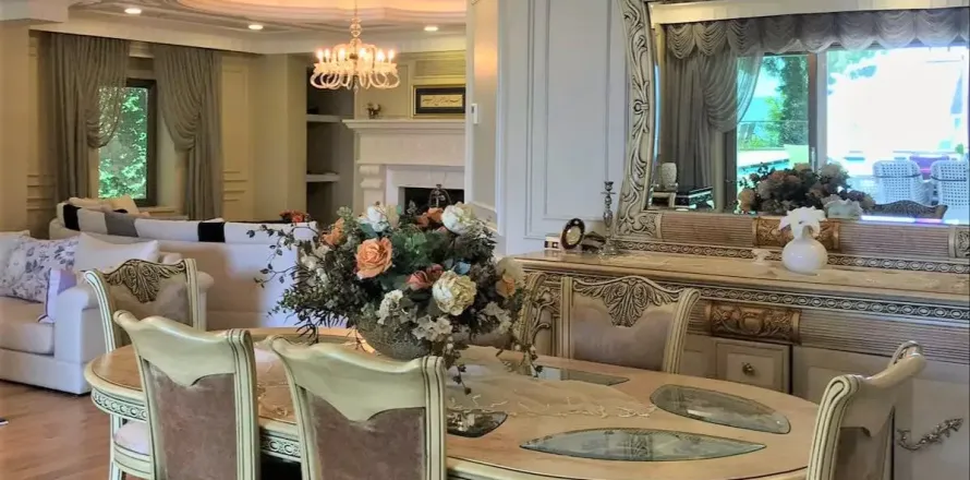 10+1 Villa i Istanbul, Tyrkiet Nr. 222067