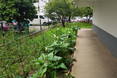 Apartment for sale  in Antalya, Turkey, 3 bedrooms, 155m2, No. 223386 – photo 18