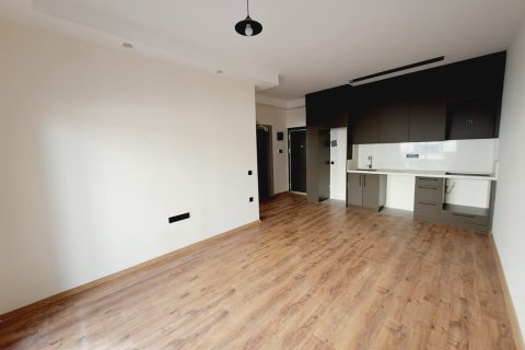 1+1 Wohnung  in Alanya, Antalya, Türkei Nr. 218715 - 2