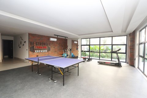 1+1 Wohnung  in Alanya, Antalya, Türkei Nr. 218715 - 15