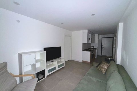 Квартира  1+1 в Анталье, Турция №238084