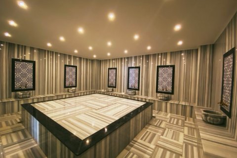 1+1 Wohnung  in Antalya, Türkei Nr. 222716 - 17