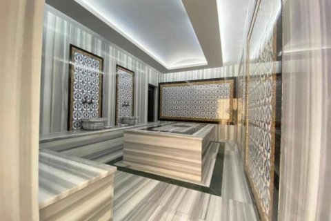 آپارتمان در  Alanya ، ترکیه 90 متر مربع.  شماره 222384 - 13