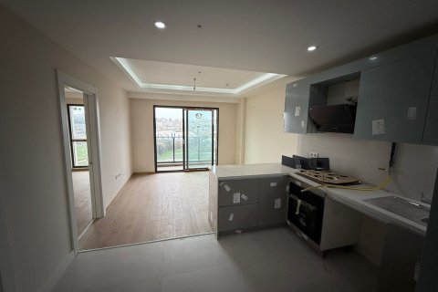 آپارتمان در Zeytinburnu، Istanbul ، ترکیه 55 متر مربع. شماره 222383 - 5