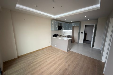 آپارتمان در Zeytinburnu، Istanbul ، ترکیه 55 متر مربع. شماره 222383 - 3