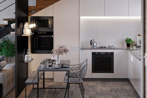 1+1 Leilighet  i  Nr. 211545 - 11