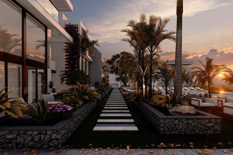 1+1 Leilighet  i  Nr. 211545 - 2