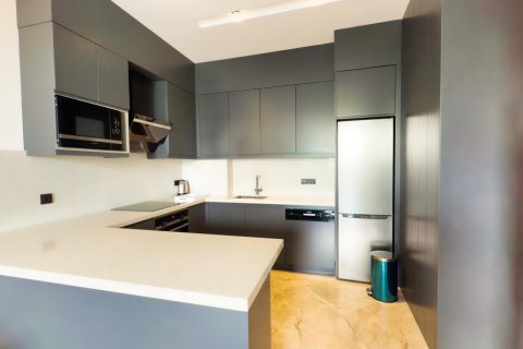 1+1 Wohnung  in Alanya, Antalya, Türkei Nr. 216727 - 9