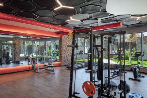 1+1 Wohnung  in Alanya, Antalya, Türkei Nr. 216727 - 16