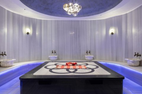 1+1 Wohnung  in Alanya, Antalya, Türkei Nr. 216727 - 24